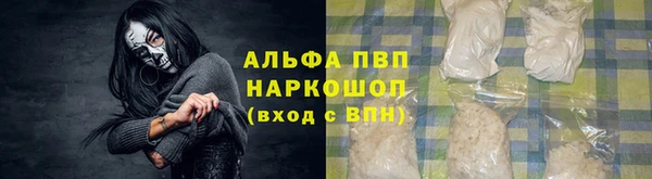 МДПВ Нея