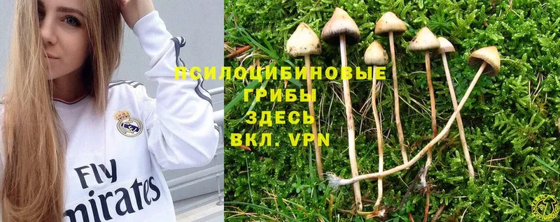 Псилоцибиновые грибы MAGIC MUSHROOMS  Навашино 